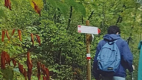 Itinerario il giro dei Castagneti Bassi